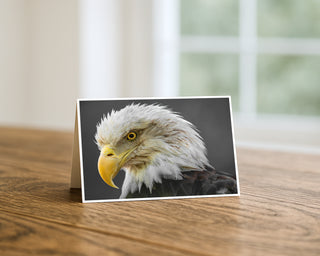 Greeting card with a bald eagle on a wooden surface Will Davis Studios