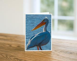 Card with a pelican design on a wooden surface greeting card by Will Davis Studios