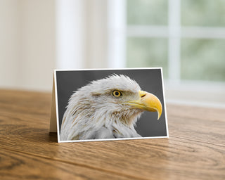 Card with an eagle's face on a wooden surface Will Davis Studios