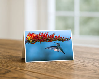 Card with a hummingbird and red flowers on a wooden surface greeting card by WIll Davis Studios