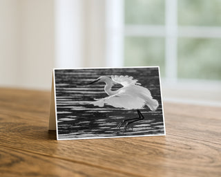 Will Davis Studios 5x7 fine art photography greeting card featuring a black and white egret landing on water, displayed standing on a wooden table with a white envelope.