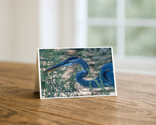 Greeting card with a blue heron on a wooden surface Will Davis Studios