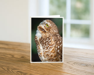 Greeting card with an owl design on a wooden surface by Will Davis Studios