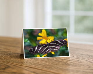 Greeting card with a butterfly on a yellow flower on a wooden surface Will Davis Studios