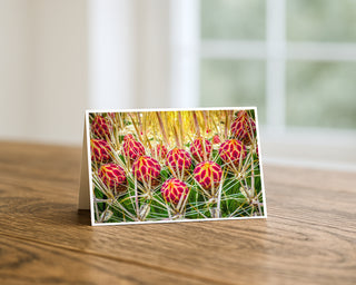 Greeting card with a cactus flower design on a wooden surface by Will Davis Studios
