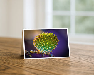 Greeting card with a close-up of a cactus on a wooden surface by Will Davis Studios