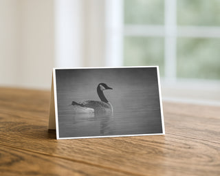 5x7 greeting card featuring black and white wildlife photography of a Canada goose swimming on calm water by Will Davis Studios.