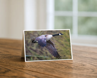 Greeting card with a goose in flight on a wooden surface by Will Davis Studios