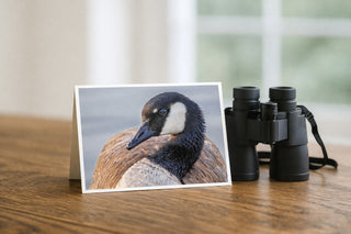 Card with a goose photo and binoculars on a wooden surface by Will Davis Studios