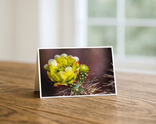 Product mockup of a Will Davis Studios 5x7 fine art greeting card in landscape orientation standing upright on a warm wooden table, featuring a luminous chartreuse and yellow-green Cholla cactus flower with creamy white pollen-tipped stamens blooming from a crown of fierce burgundy-red spines with a tight green bud below, set against a warm rich mocha-brown bokeh background, photographed in soft natural light with a bright window in the background.