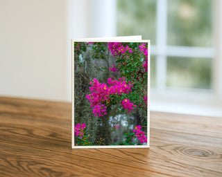 Product mockup of a Will Davis Studios 5x7 fine art greeting card standing upright on a warm wooden table, featuring vibrant hot pink crepe myrtle blooms and silver Spanish moss photography on the cover, with a bright window and soft natural light in the background.
