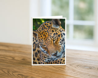 Greeting card with a leopard design on a wooden surface Will Davis Studios