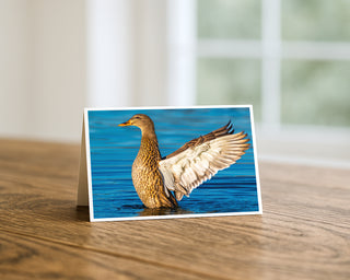 Greeting card with a duck on water displayed on a wooden surface Will Davis Studios