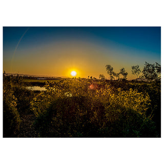 Sunset over a field with trees in the background photo by Matt Punches