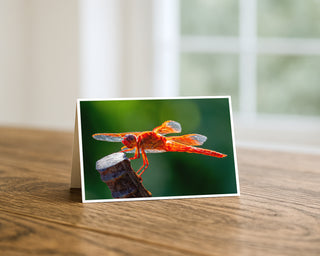 Product mockup of a Will Davis Studios 5x7 fine art greeting card in landscape orientation standing upright on a warm wooden table, featuring a blazing scarlet and orange Flame Skimmer dragonfly perched on a weathered metal post with four translucent iridescent wings spread wide against a deep lush emerald green bokeh background, photographed in soft natural light with a bright window in the background.
