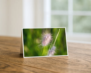 Product mockup of a Will Davis Studios 5x7 fine art greeting card in landscape orientation standing upright on a warm wooden table, featuring a delicate backlit fountain grass plume with wispy pink and silver filaments glowing against a dreamy lush green bokeh background, photographed in soft natural light with a bright window in the background.