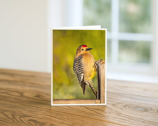 Greeting card with a woodpecker design on a wooden surface by Will Davis Studios