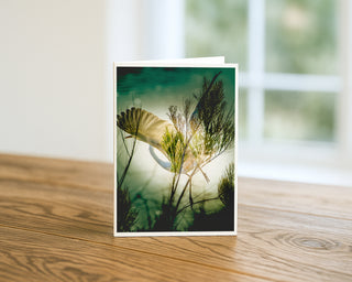 Greeting card with nature design on a wooden surface Will Davis Studios