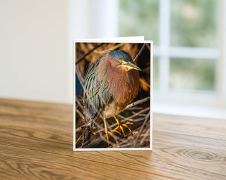 Card with a green heron on a wooden surface greeting card by Will Davis Studios