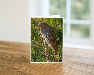 Wildlife greeting card featuring a heron perched on a branch in natural greenery, nature photography by Will Davis Studios.