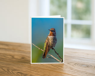 Greeting card with a hummingbird on a branch against a blue sky, placed on a wooden surface. Will Davis Studios