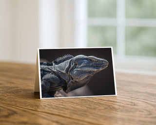5x7 greeting card featuring a close-up wildlife photograph of an iguana with detailed textured scales against a dark background by Will Davis Studios.