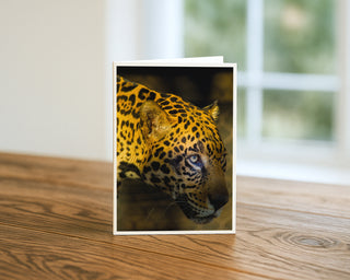 Card with a jaguar's face on a wooden surface by Will Davis Studios