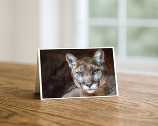 Card with a mountain lion's face on a wooden surface by Will Davis Studios