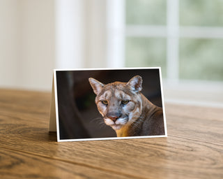 Card with a cougar on it placed on a wooden surface by Will Davis Studios