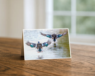 Greeting card with ducks in flight on a wooden surface by Will Davis Studios