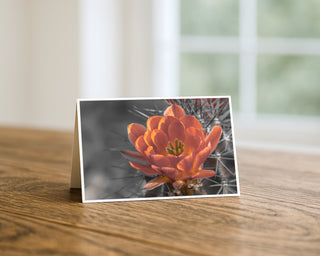 Greeting card with a cactus flower on a wooden surface