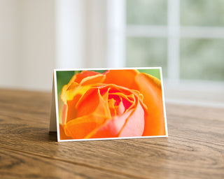 Greeting card with an orange rose on a wooden surface by Will Davis Studios