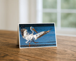 Greeting card with a pelican on a wooden surface by Will Davis Studios