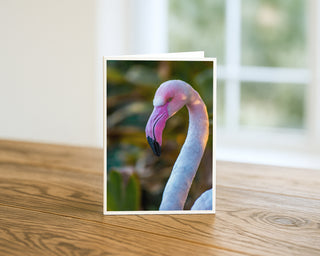 Flamingo card on a wooden surface with a blurred background by Will Davis Studios