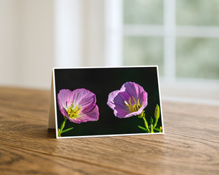 Greeting card with two pink flowers on a wooden surface Greeting Card by Will Davis Studios
