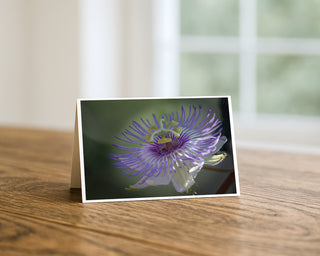 5x7 greeting card featuring macro photography of a purple passionflower bloom with delicate filaments and soft green background by Will Davis Studios.
