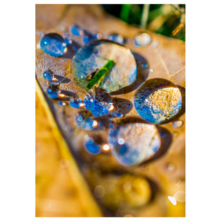 Fine art greeting card featuring an extraordinary macro photograph of glistening water droplets scattered across a warm golden autumn leaf, each droplet acting as a tiny liquid lens reflecting the blue sky and surroundings in breathtaking detail, with sparkling bokeh light dancing across the amber surface, 5x7 blank card with envelope by Will Davis Studios.
