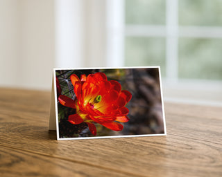 Greeting card with a red flower on a wooden surface greeting card by Will Davis Studios