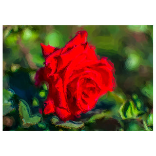 Red rose with a blurred green and brown background by Will Davis Studios