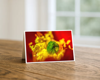Greeting card with a close-up of a flower on a wooden surface by Will Davis Studios