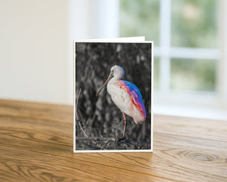 Will Davis Studios 5x7 fine art photography greeting card featuring a roseate spoonbill with selective pink and blue color tones, displayed standing on a wooden table with a white envelope.