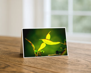 Greeting card with a nature-themed design featuring leaves on a wooden surface. by Will Davis Studios