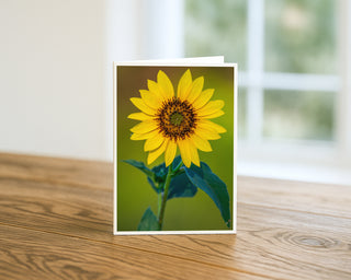 Product mockup of a Will Davis Studios 5x7 fine art greeting card in portrait orientation standing upright on a warm wooden table, featuring a single sunflower in perfect full bloom with broad golden petals radiating around a richly textured dark chocolate center, rising on a slender green stem with deep teal-green leaves against a warm golden-green bokeh background, photographed in soft natural light with a bright window in the background.