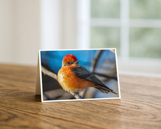Product mockup of a Will Davis Studios 5x7 fine art greeting card in landscape orientation standing upright on a warm wooden table, featuring a male Vermilion Flycatcher with blazing scarlet crest, rich burnt orange and amber breast, and slate-grey wings perched on a bare winter branch against a vivid cerulean blue sky filtered through bare desert branches, photographed in soft natural light with a bright window in the background.