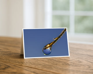 Product mockup of a Will Davis Studios 5x7 fine art greeting card in landscape orientation standing upright on a warm wooden table, featuring a perfect water droplet hanging at the tip of a warm amber and gold branch with the entire deep cobalt blue sky reflected within the transparent sphere, against a flawless blue background, photographed in soft natural light with a bright window in the background.