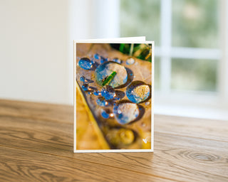 Will Davis Studios 5x7 fine art macro nature greeting card featuring colorful water droplets on a leaf, displayed standing on a wooden table with a soft blurred background