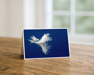 Product mockup of a Will Davis Studios 5x7 fine art greeting card in landscape orientation standing upright on a warm wooden table, featuring a delicate white feather floating on a deep cobalt blue water surface with a perfect symmetrical reflection below, photographed in soft natural light with a bright window in the background.