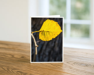 Will Davis Studios 5x7 fine art nature greeting card featuring a single yellow autumn leaf on a branch, displayed upright on a wooden table with a soft blurred window background
