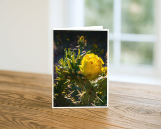 Greeting card with a yellow flower on a wooden surface greeting card by Will Davis Studios