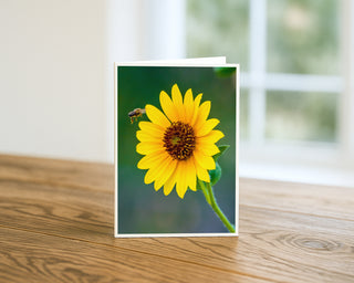 Will Davis Studios 5x7 fine art nature greeting card featuring a bright yellow desert sunflower with a bee hovering nearby, displayed standing on a wooden table with a white envelope.